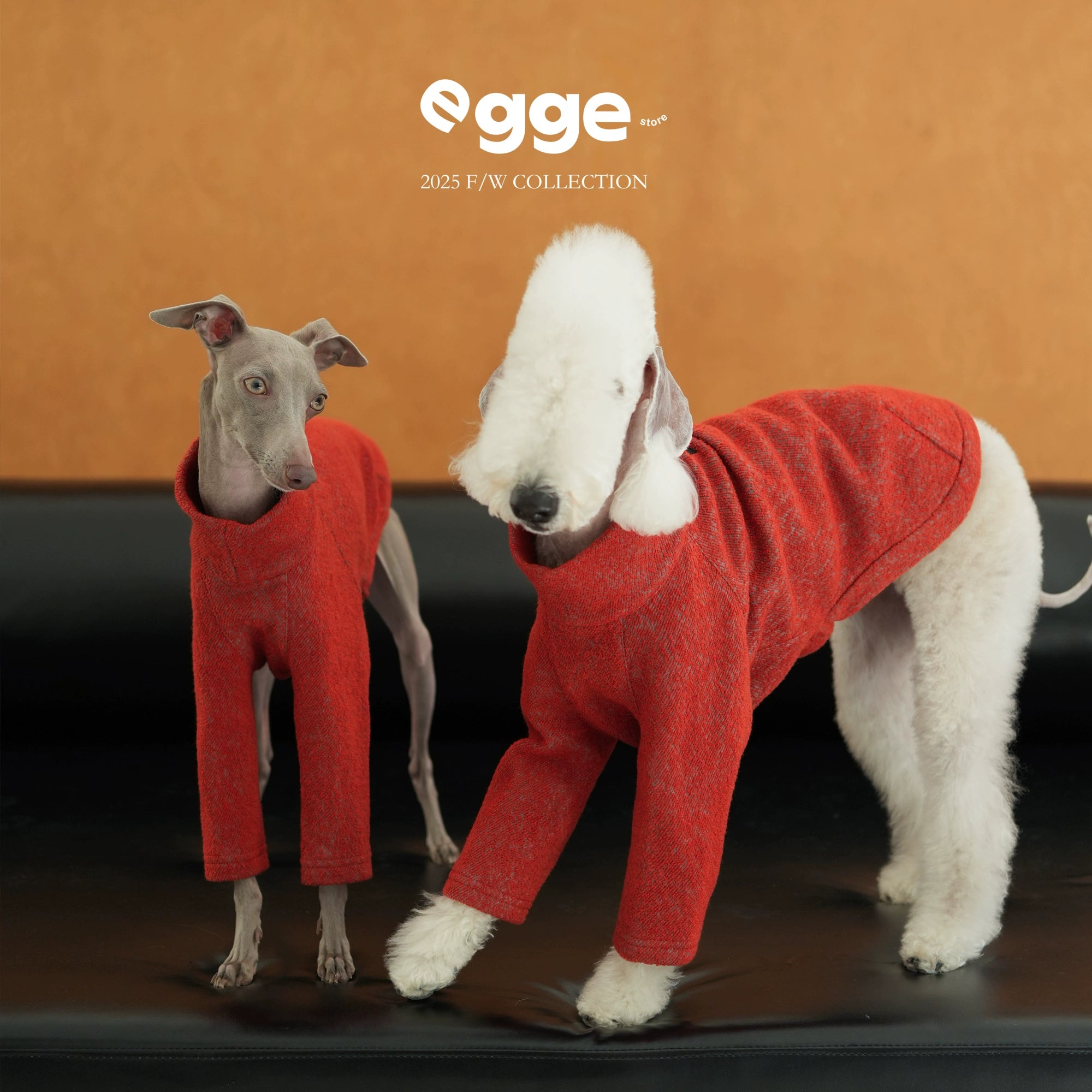 egge® Premium Wool & Tencel Two-Legged Hoodie for Dogs