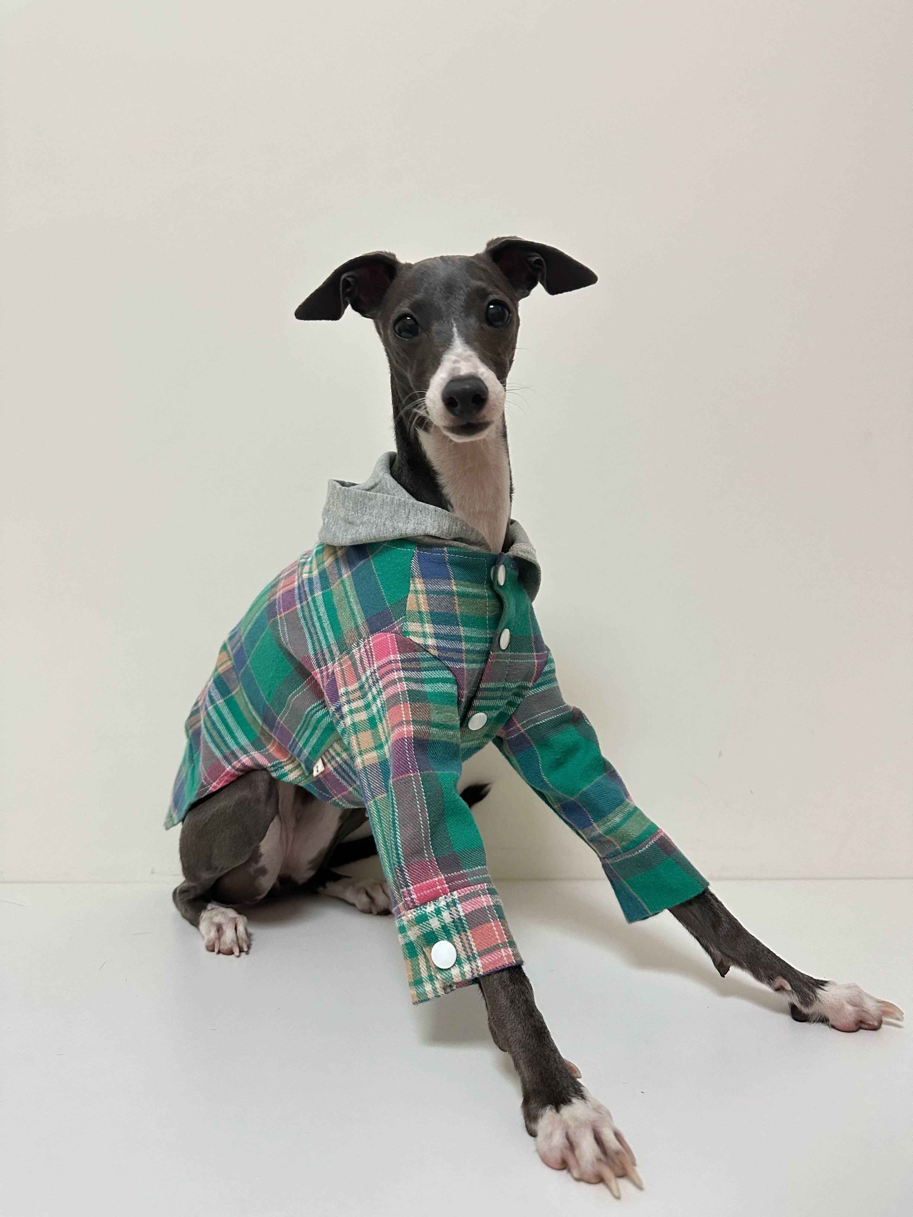 A HUNTING DOG® Dog Striped Hoodie - KIKOPALS