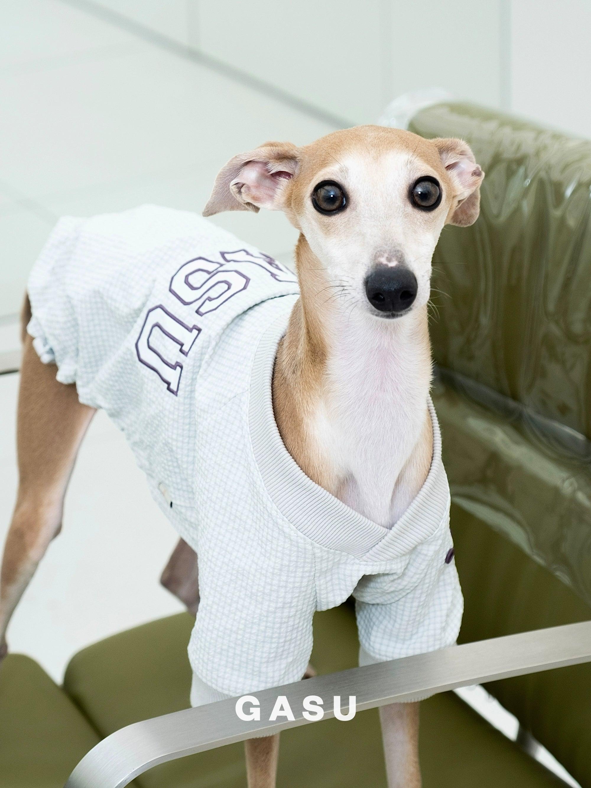 GASU® Embroidered Vintage Lightweight Pet Sweater - KIKOPALS