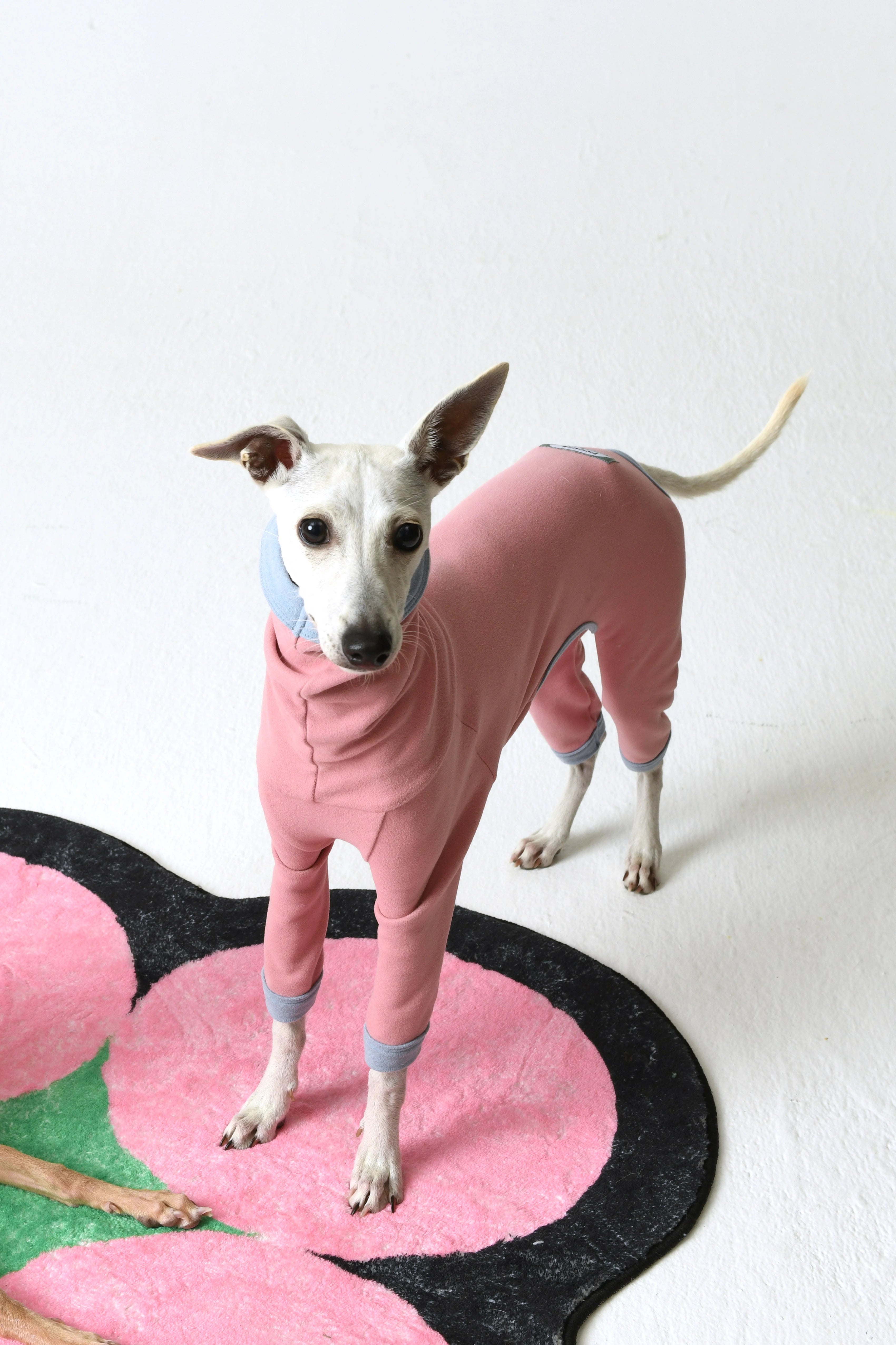iiNeed® Comfortable Base Layer for Dogs