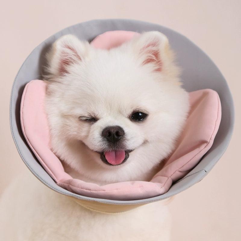 Dottylab® Floral Elizabethan Pet Collar - KIKOPALS