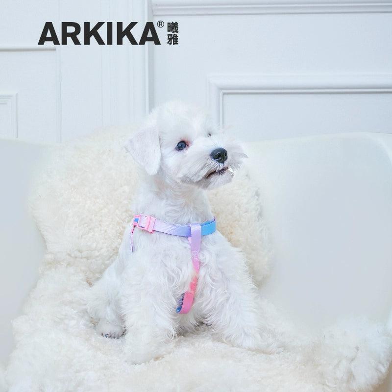 ARKIKA® Gradient No-Pull Dog Harness Leash - KIKOPALS