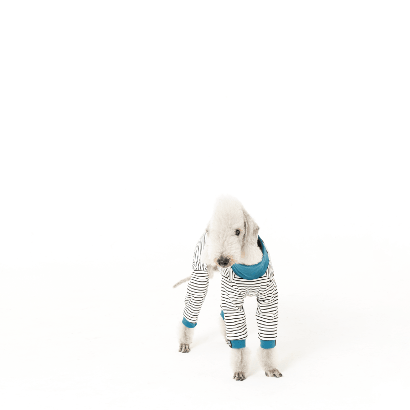 PUFFYCLOUD® Striped Dog Four-Legged Base Layer Sweater - KIKOPALS