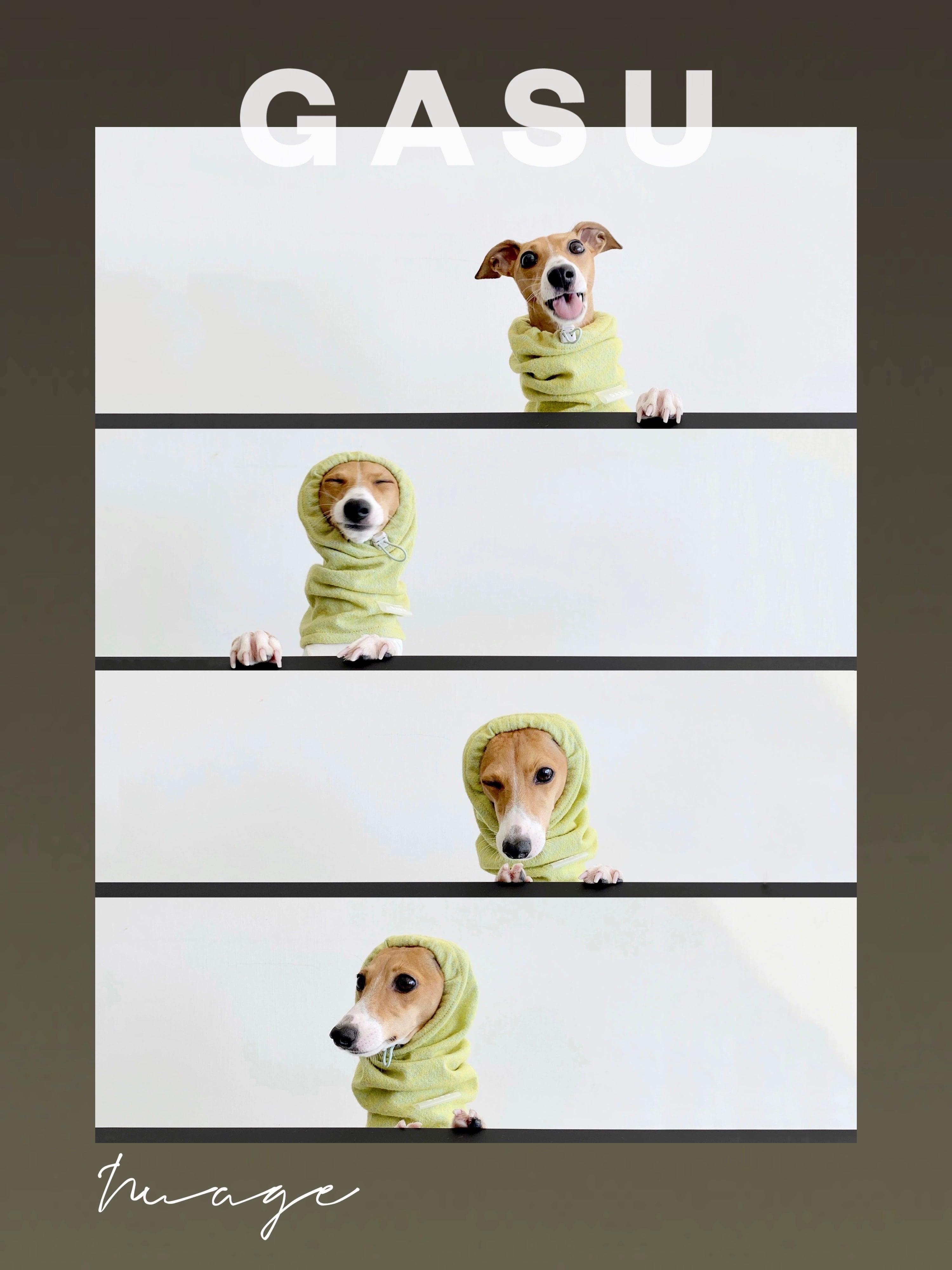 GASU® Woolen Pet Snood - KIKOPALS