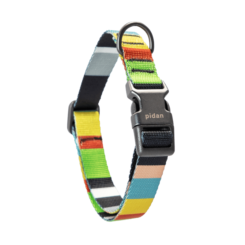 pidan® Shock-Absorbing Dog Leash - KIKOPALS