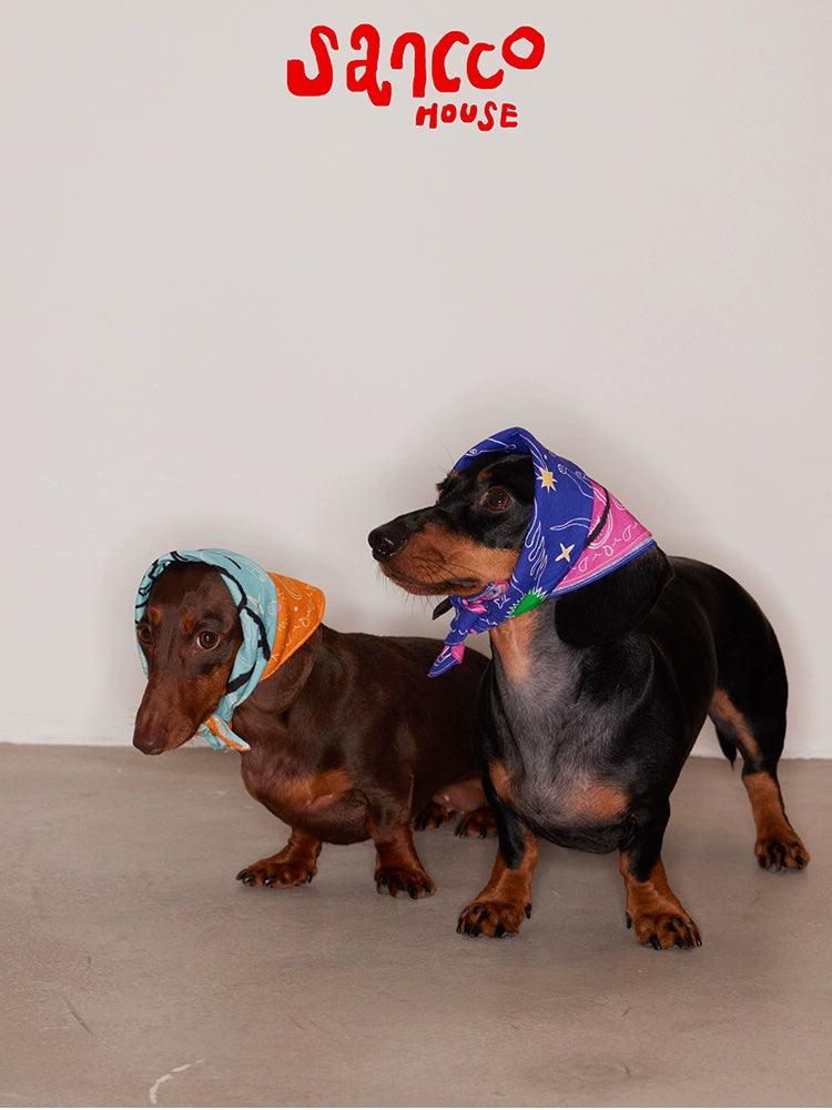 SANCCO® Paisley Graffiti Pet Bandana - KIKOPALS