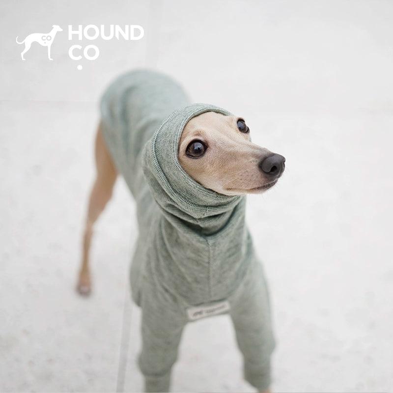 Hound Co.® Ultra-Soft Skin-Friendly Two-Leg Pet Pajamas - KIKOPALS