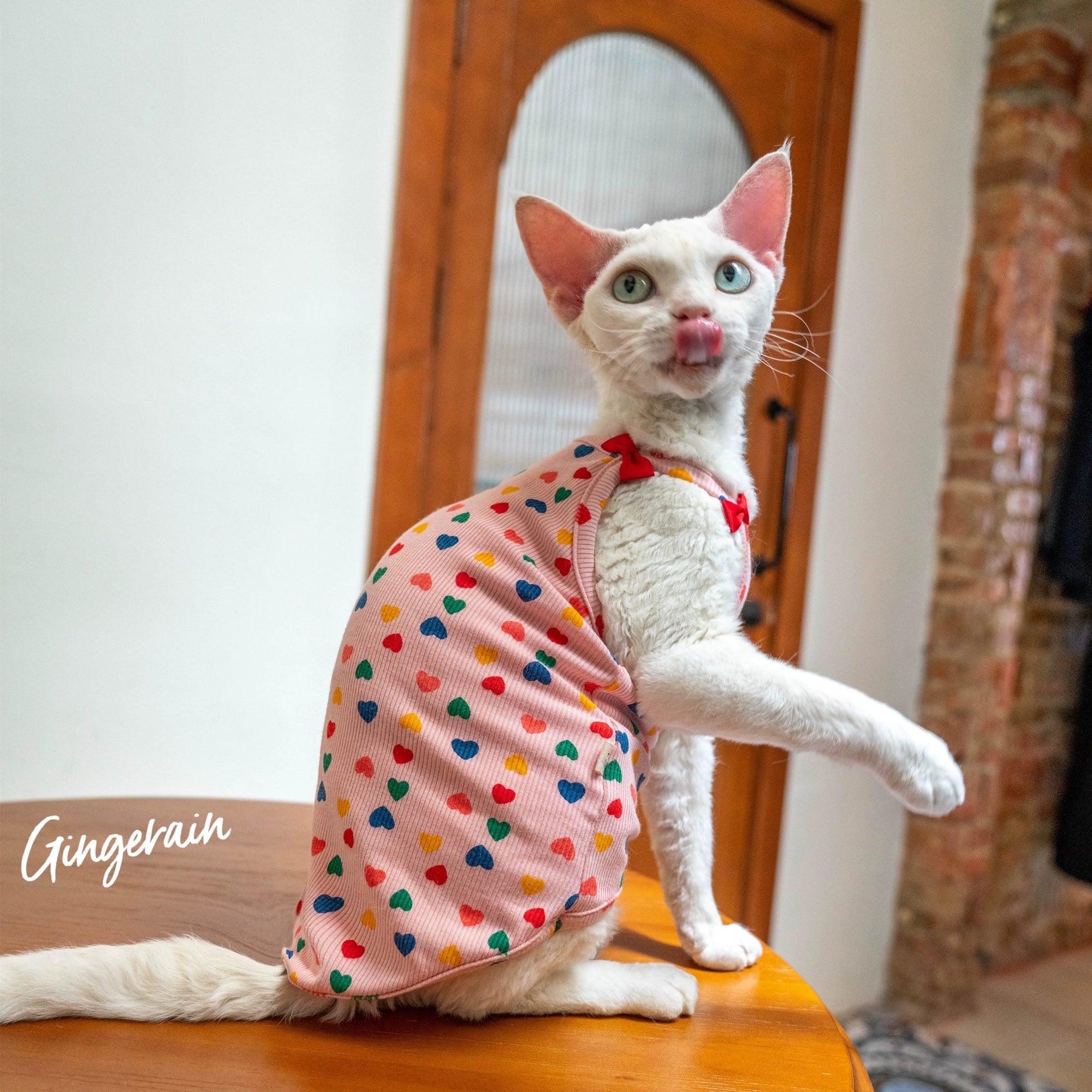 GINGERAIN® Colorful Spotted Pet Vest - KIKOPALS