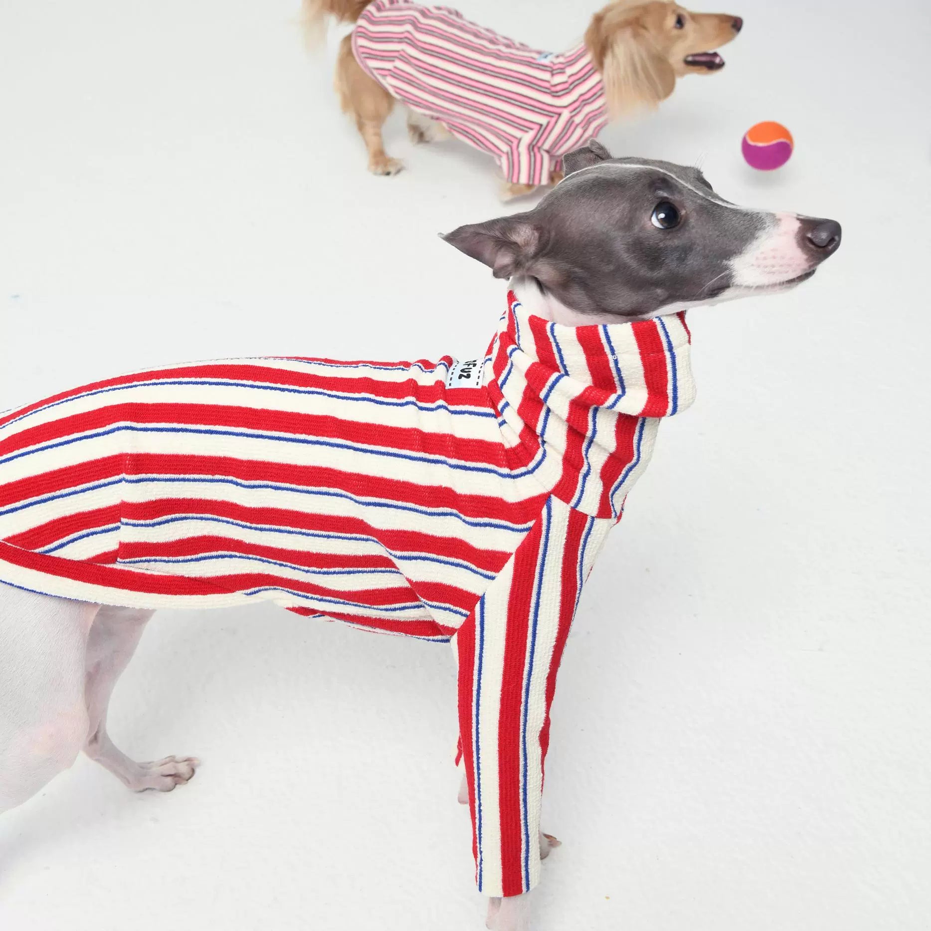 FuzFuz® Two-Legged Garment for Dogs
