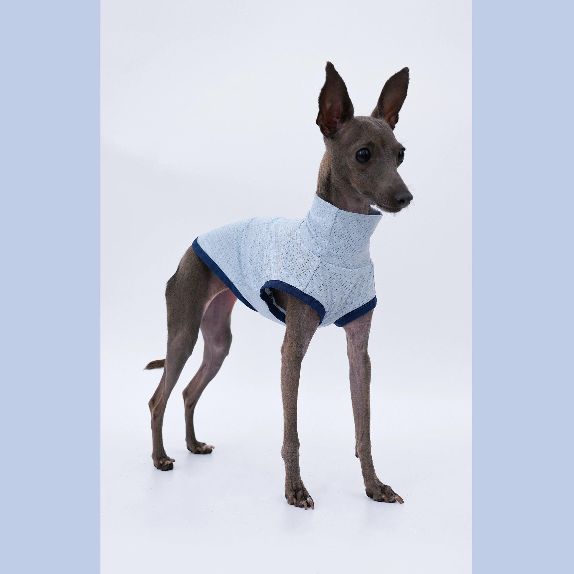 YDC Store® Dog Cool Stretchy Vest - KIKOPALS