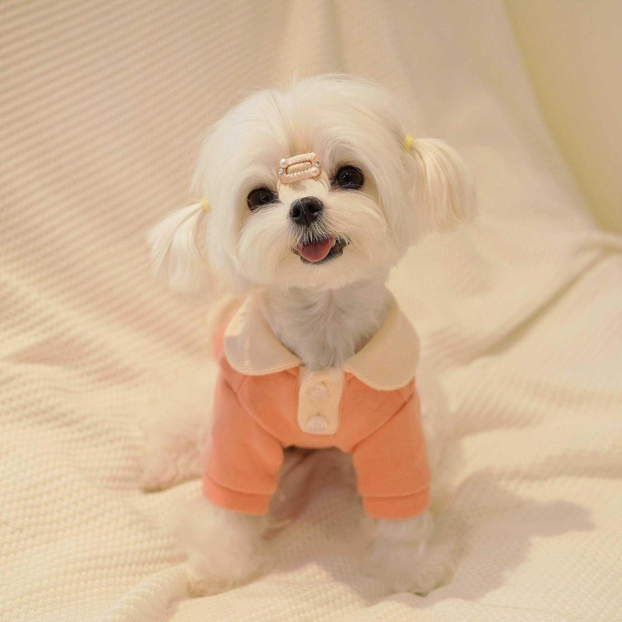 BOWWW® Dog Color-blocked Stretch Polo Shirt - KIKOPALS