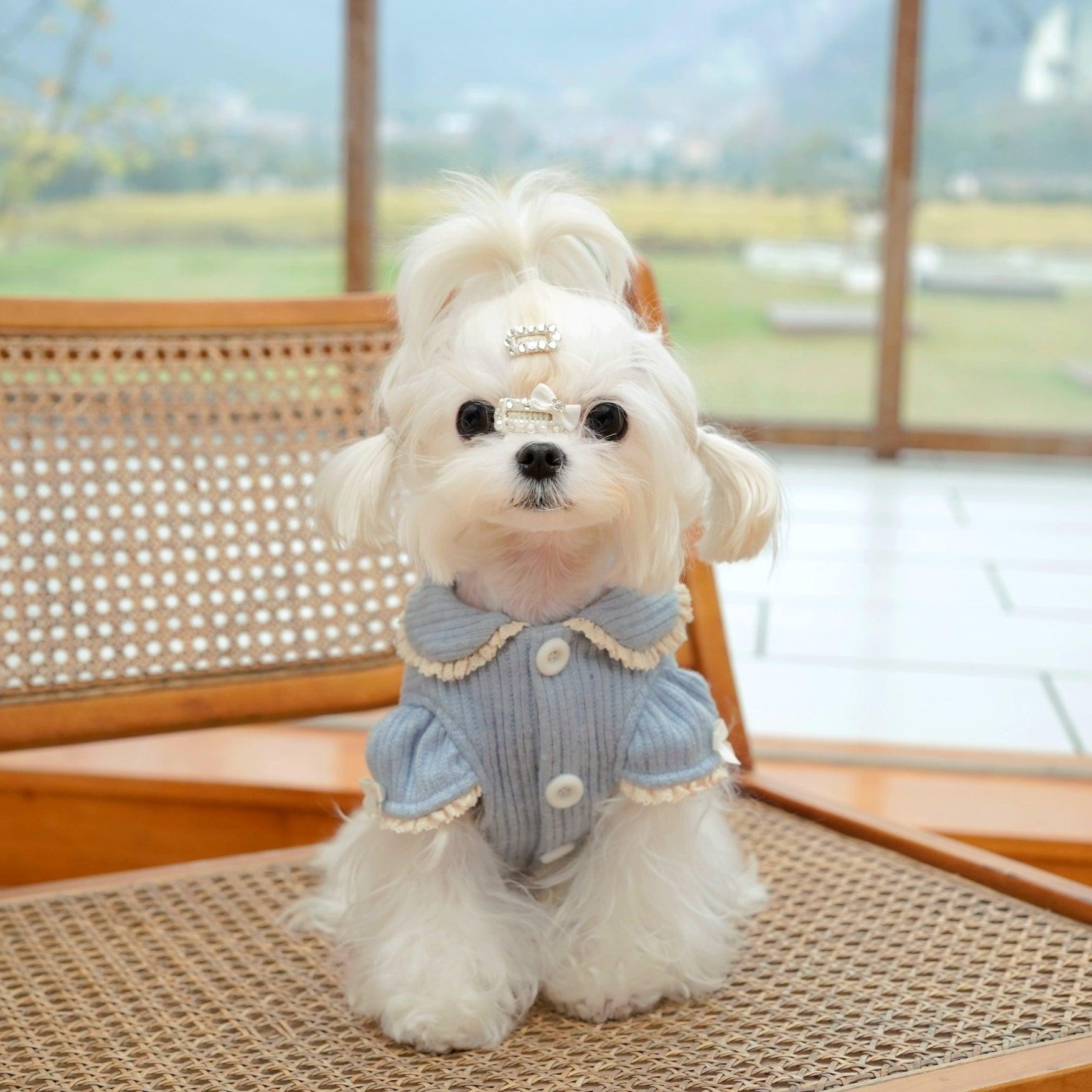 BOWWW® Pet Home Sweater Jacket - KIKOPALS