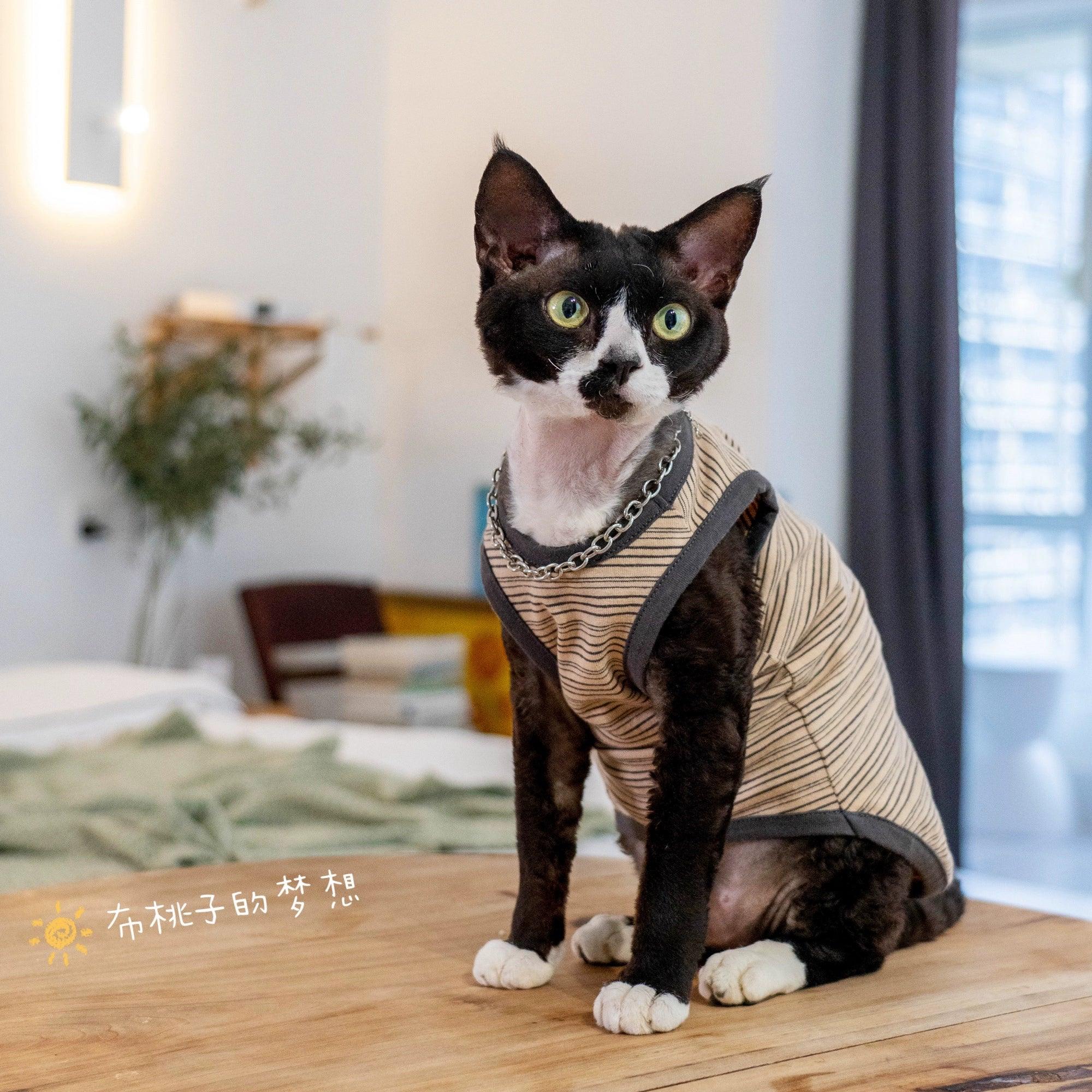 GINGERAIN® Stretch Cotton Pet Vest - KIKOPALS