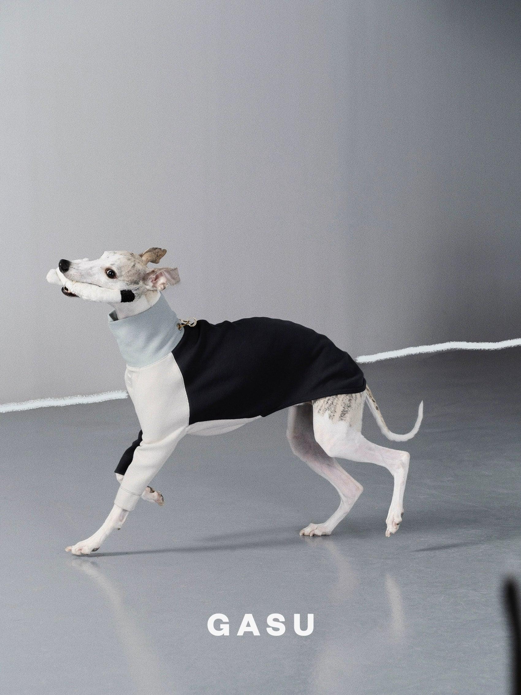 GASU® Twilight Knit Textured Dog Sweater - KIKOPALS