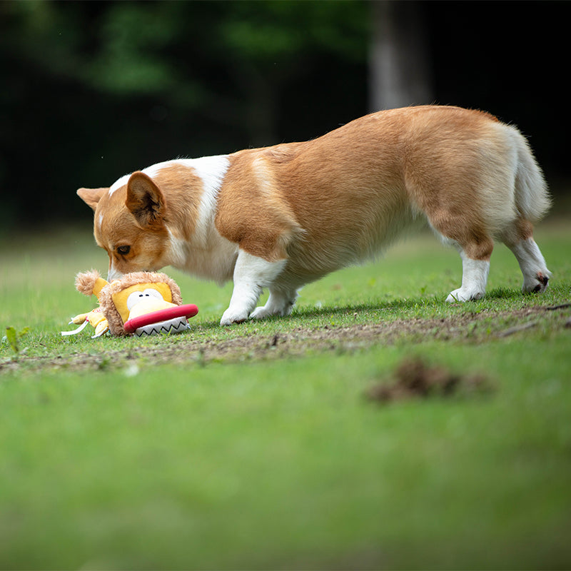 GiGwi® Animal Pull Ring Dog Toy