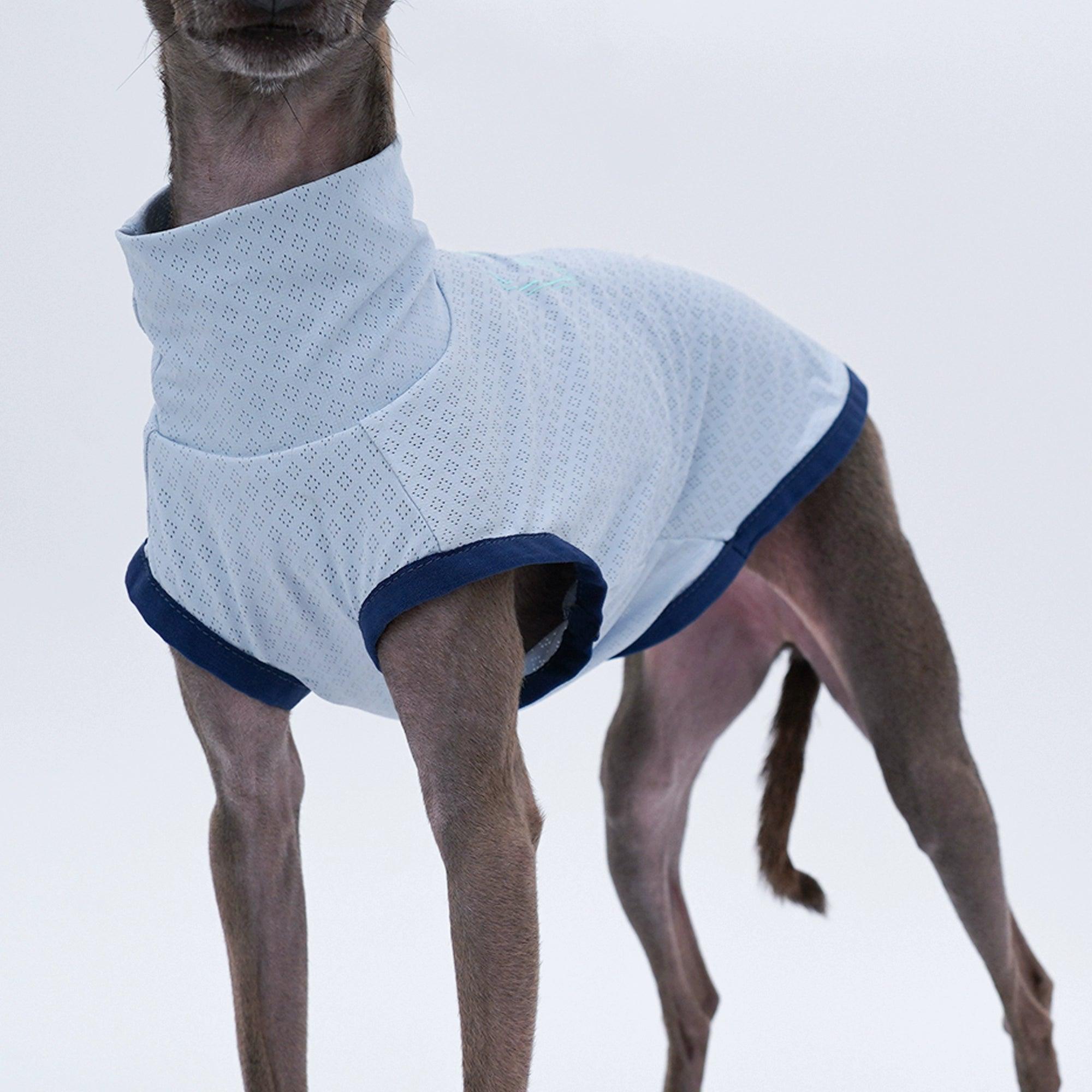 YDC Store® Dog Cool Stretchy Vest - KIKOPALS