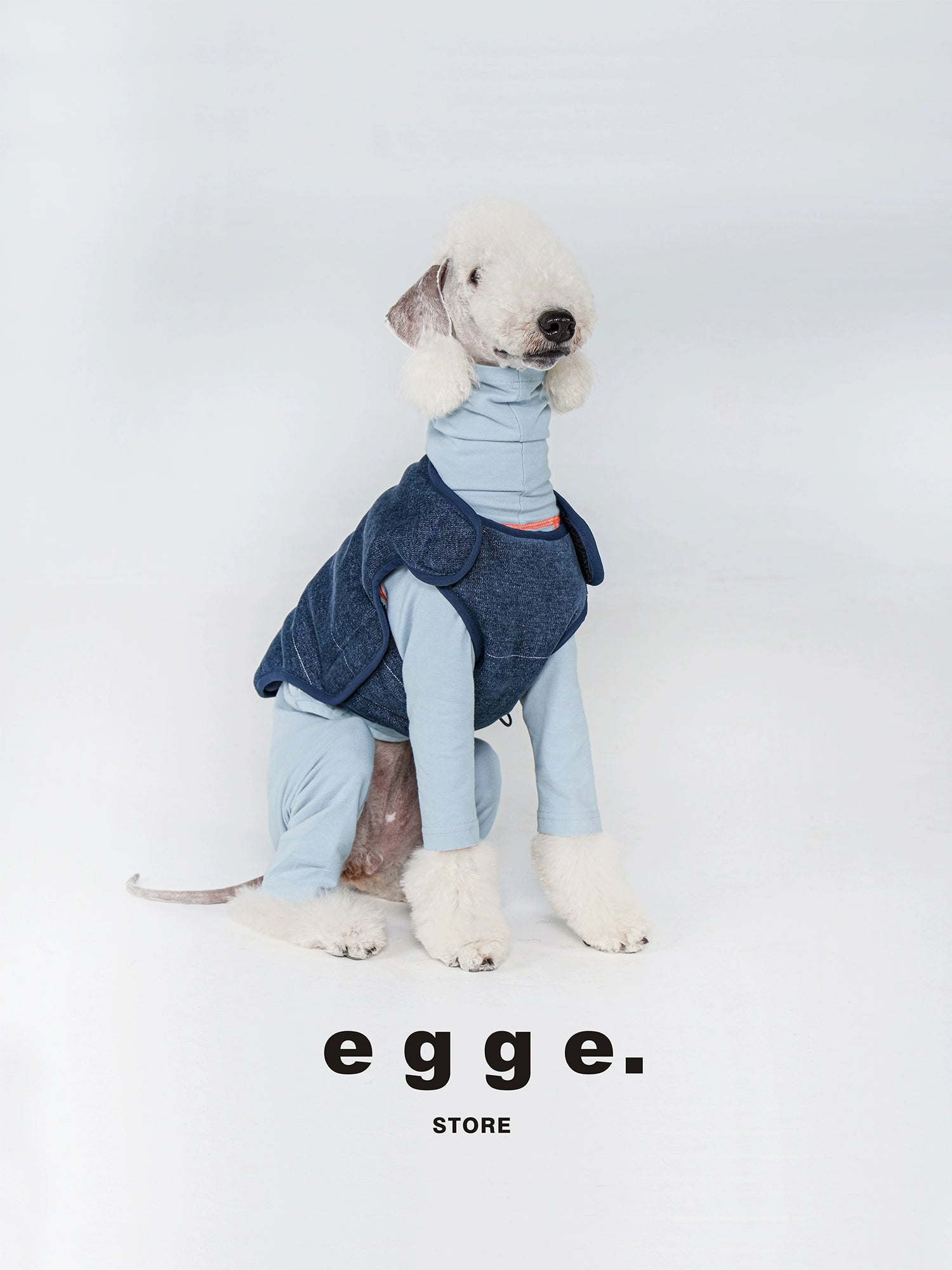 egge® Denim Vest for Dogs
