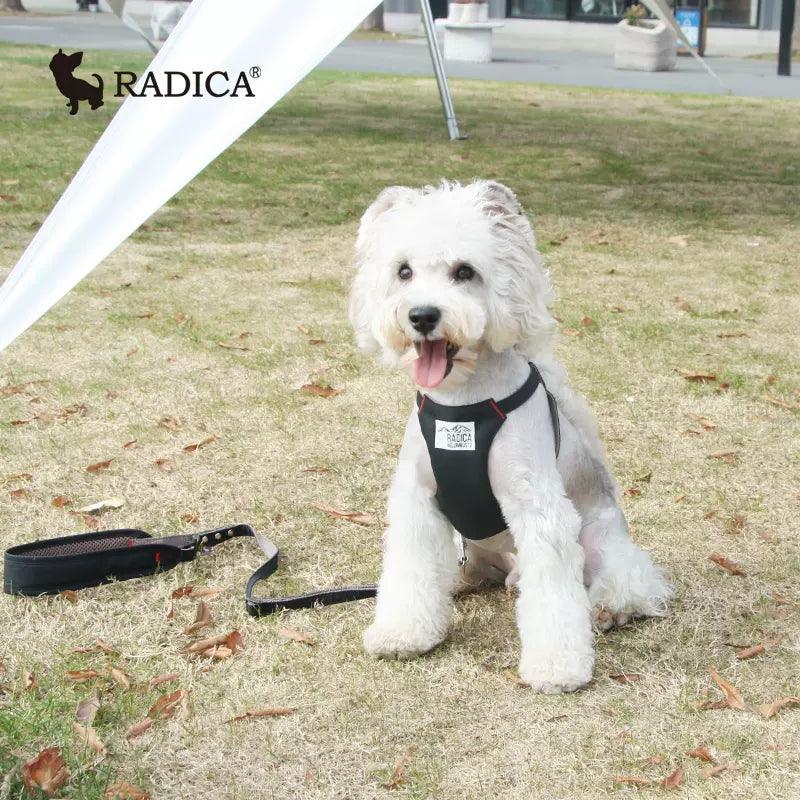 Radica® Pet Harness & Leash Set - KIKOPALS