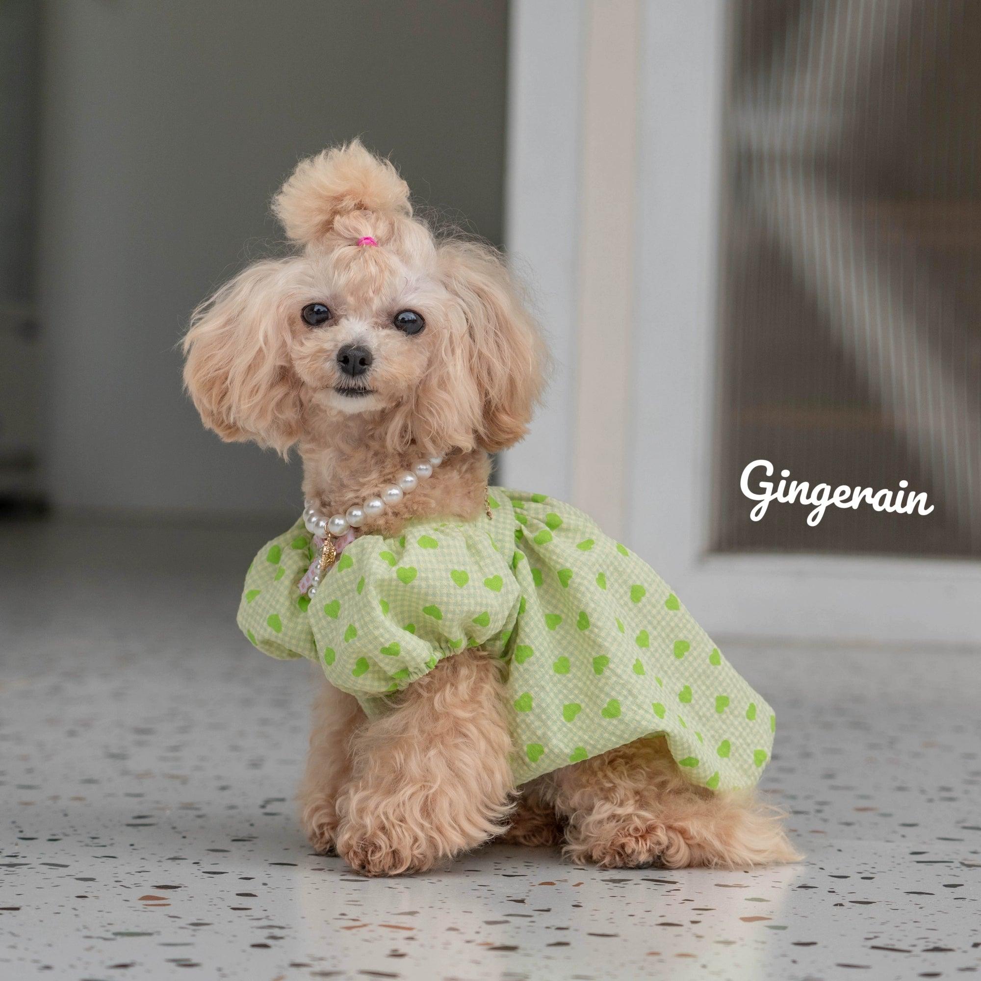 GINGERAIN® Wrinkle-Resistant Puff Sleeve Dog Tutu Dress - KIKOPALS