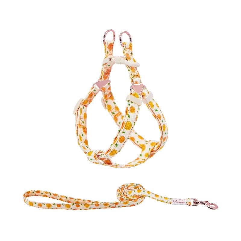 ARKIKA® Fruit-Colored Dog Harness Leash Kit - KIKOPALS