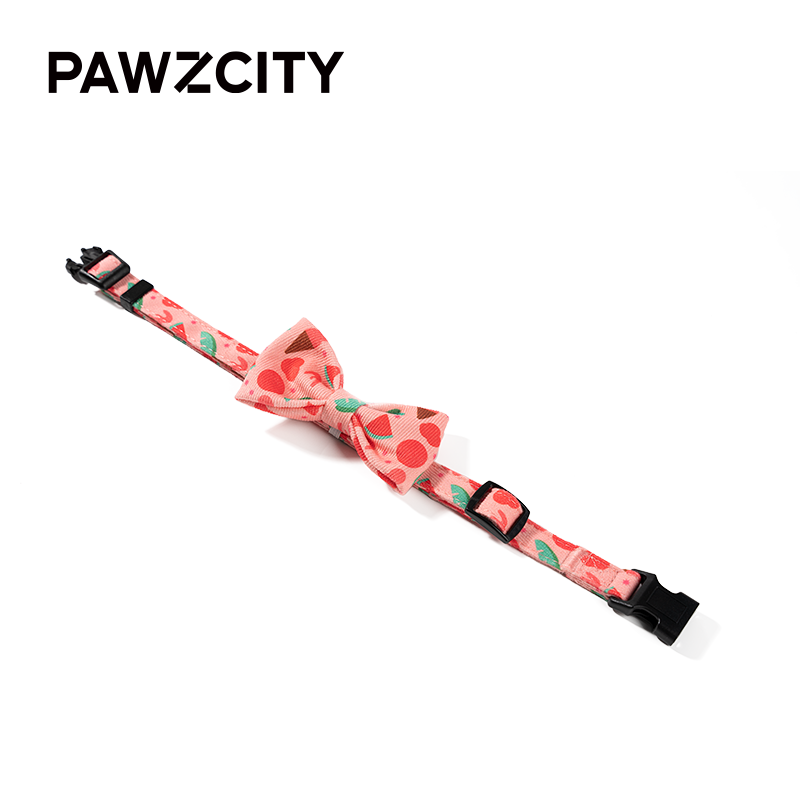 PAWZCITY® Urban Chic Bow Tie with Collar for Dogs & Cats