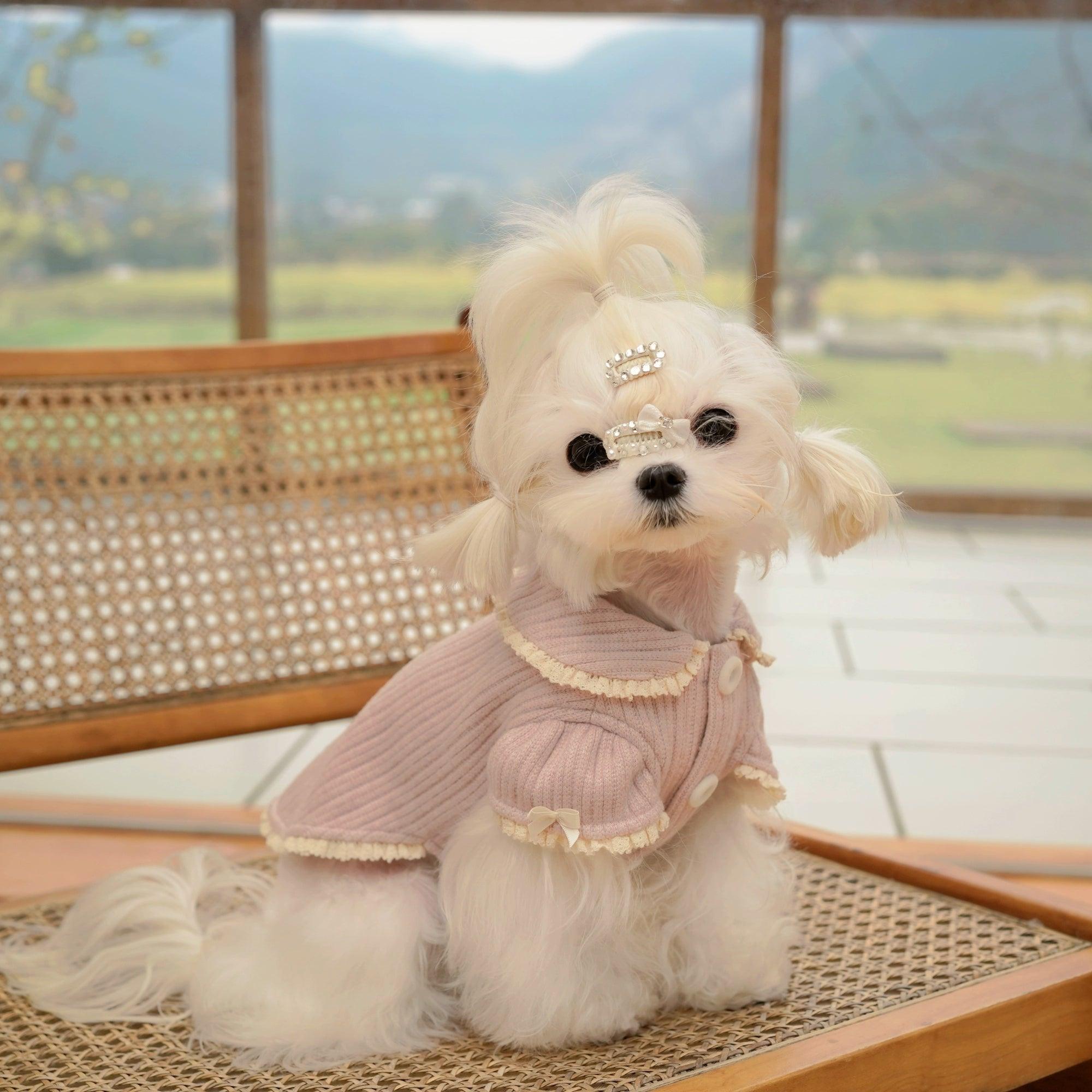 BOWWW® Pet Home Sweater Jacket - KIKOPALS