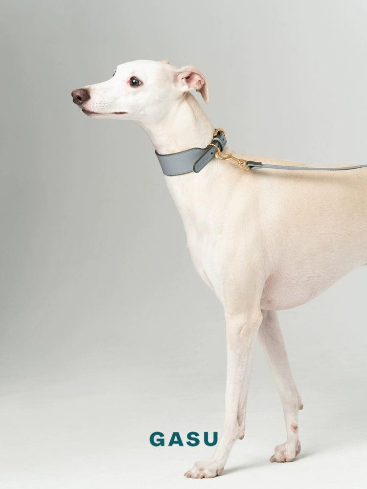 GASU® Soft Italian Leather Pet Collar - KIKOPALS