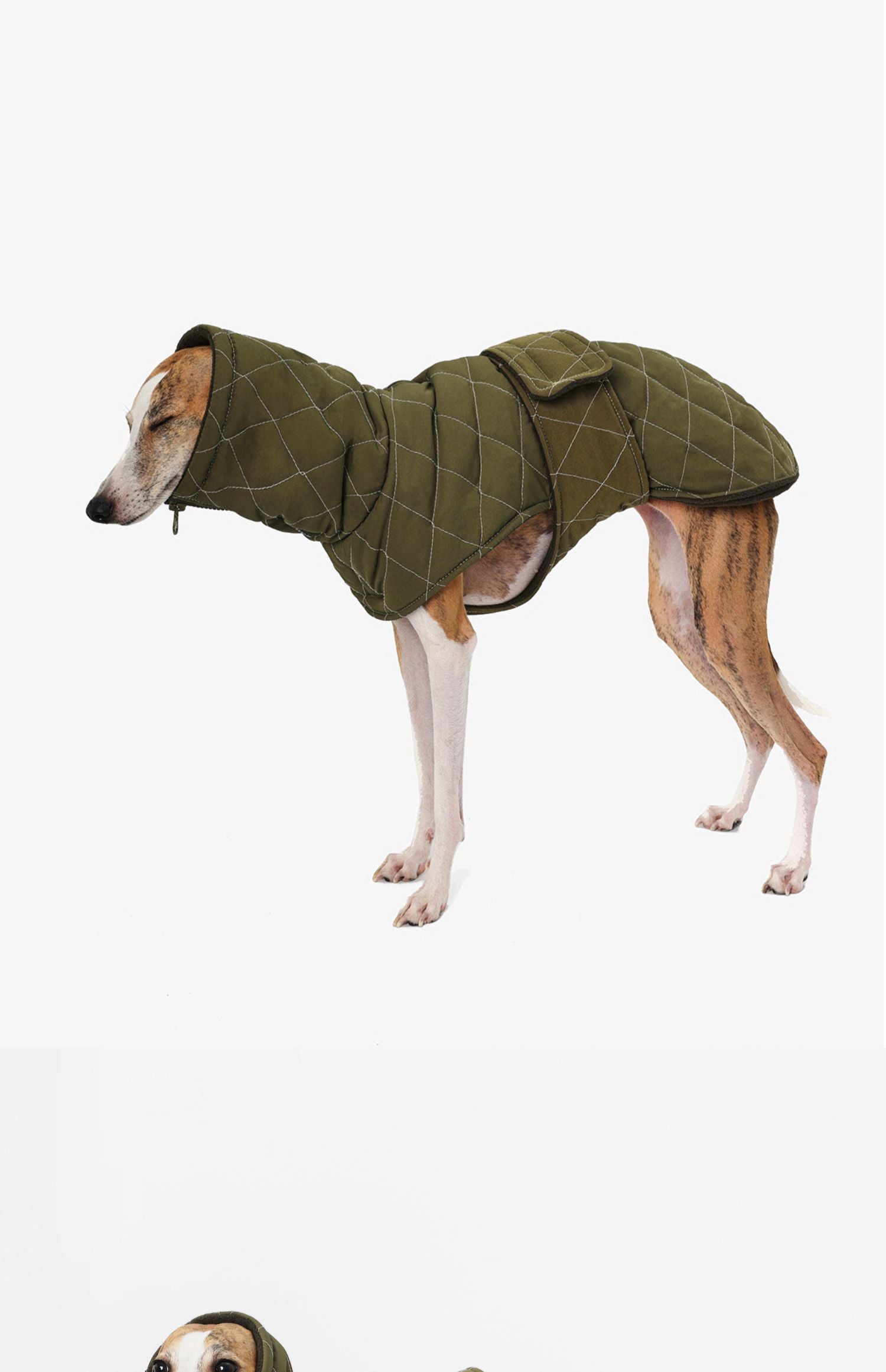 Nuoz® Waterproof Dog Jacket - Olive Green