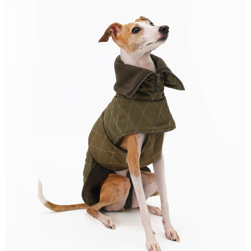 Nuoz® Waterproof Dog Jacket - Olive Green