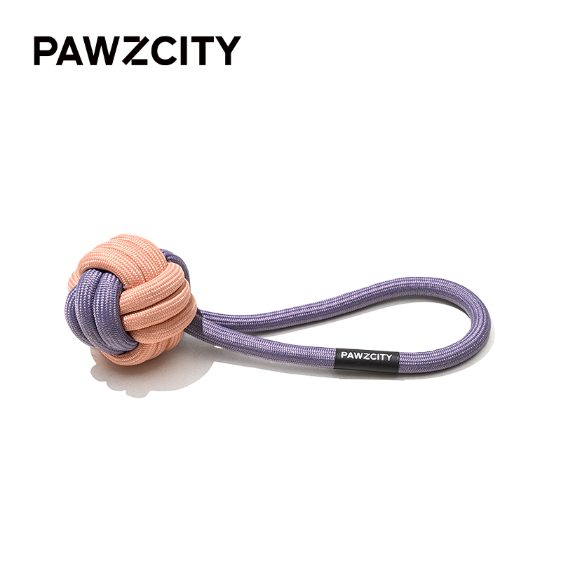 PAWZCITY® Durable Knot Dog Toy