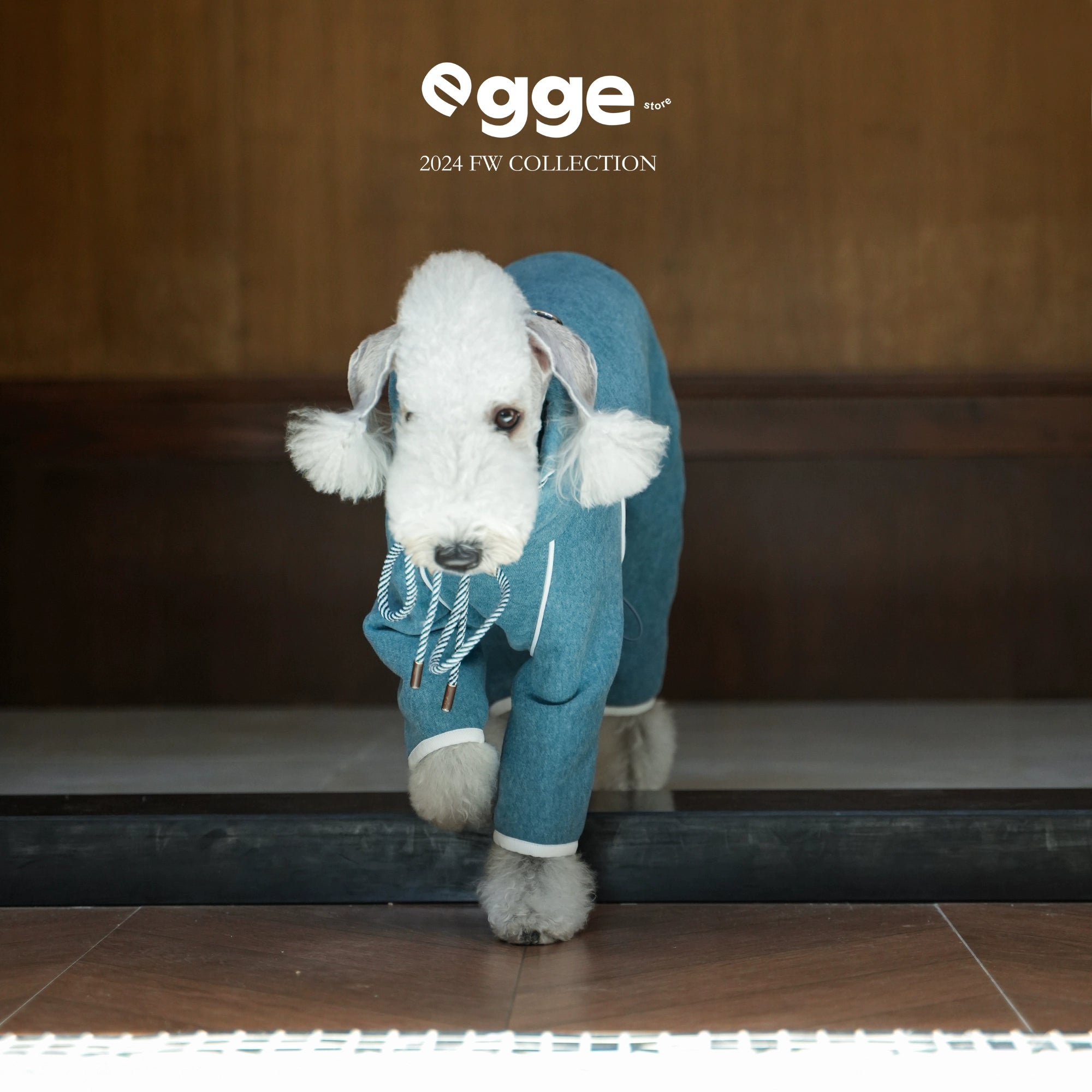 egge® School Uniform Hoodie - White & Blue for Dogs