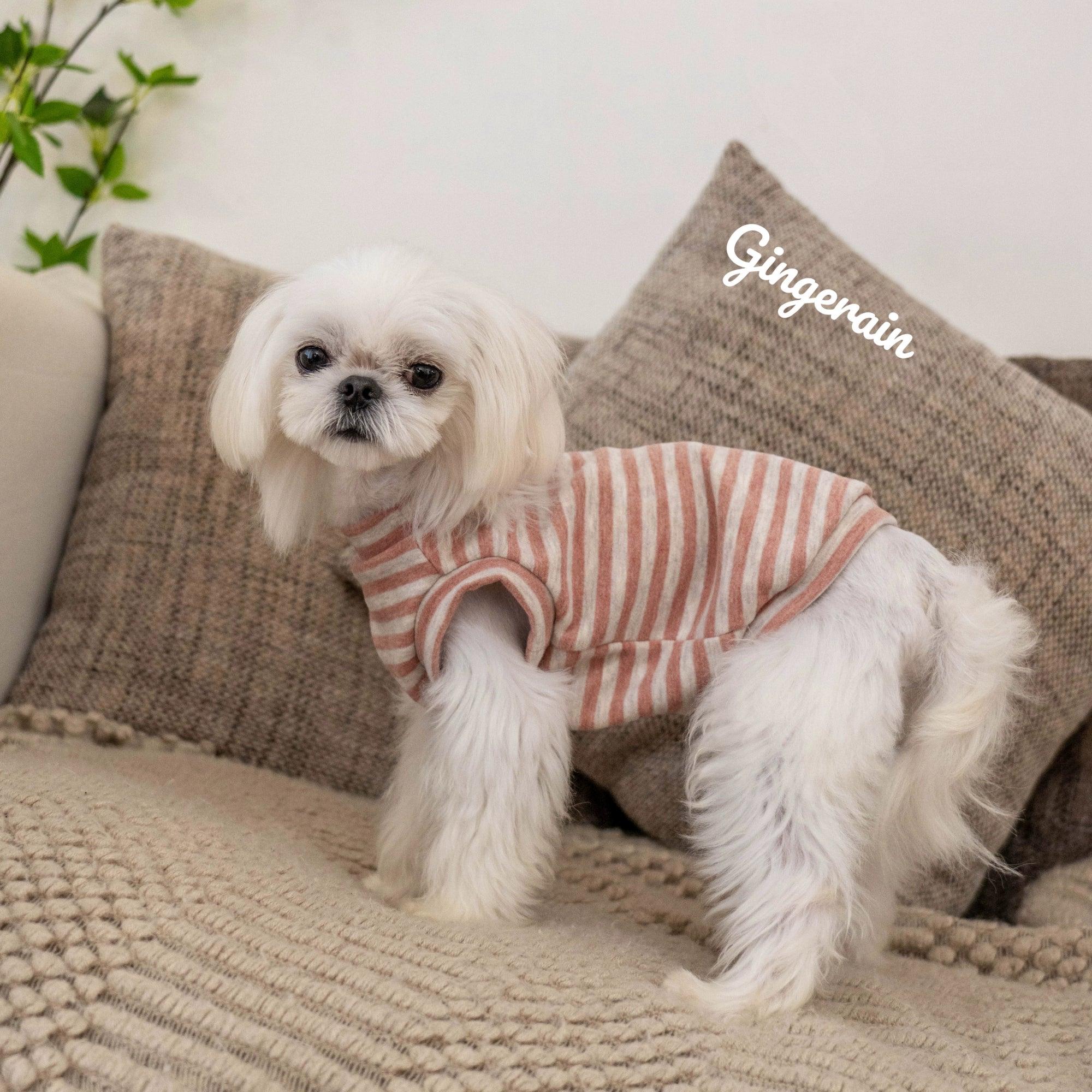 GINGERAIN® Striped Pet Hoodie Vest - KIKOPALS