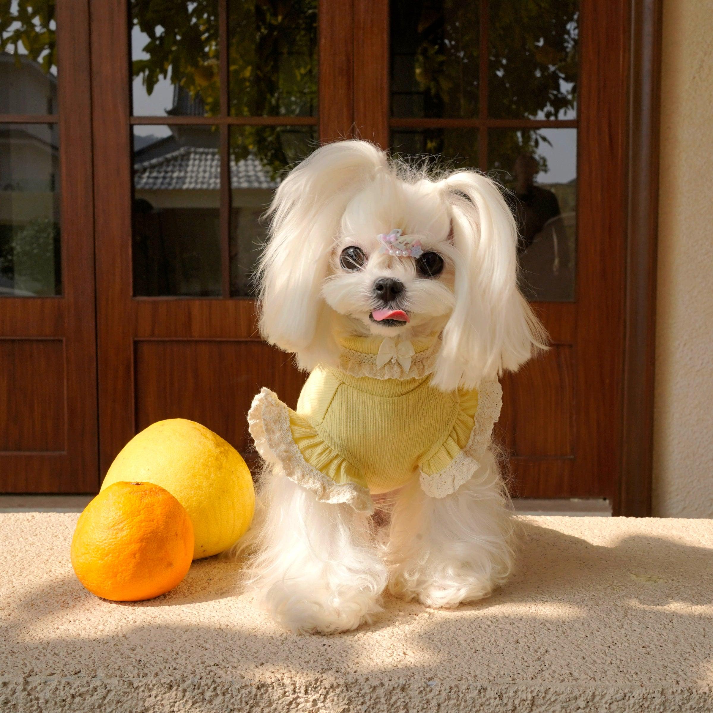 BOWWW® Pet Little Sweetheart Knitted Base Layer Top - KIKOPALS