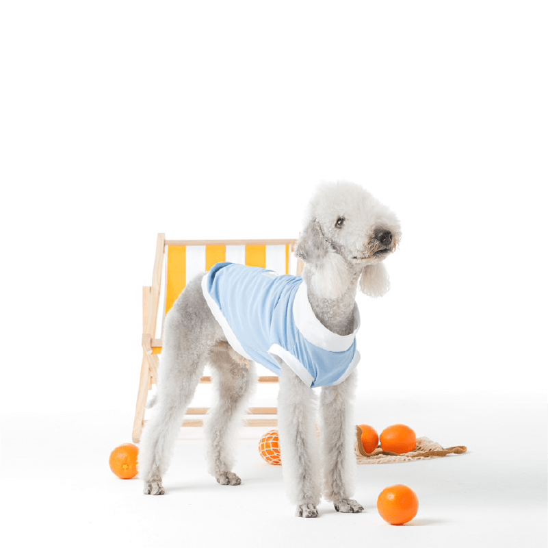 PUFFYCLOUD® Sportswear Casual Suit - KIKOPALS