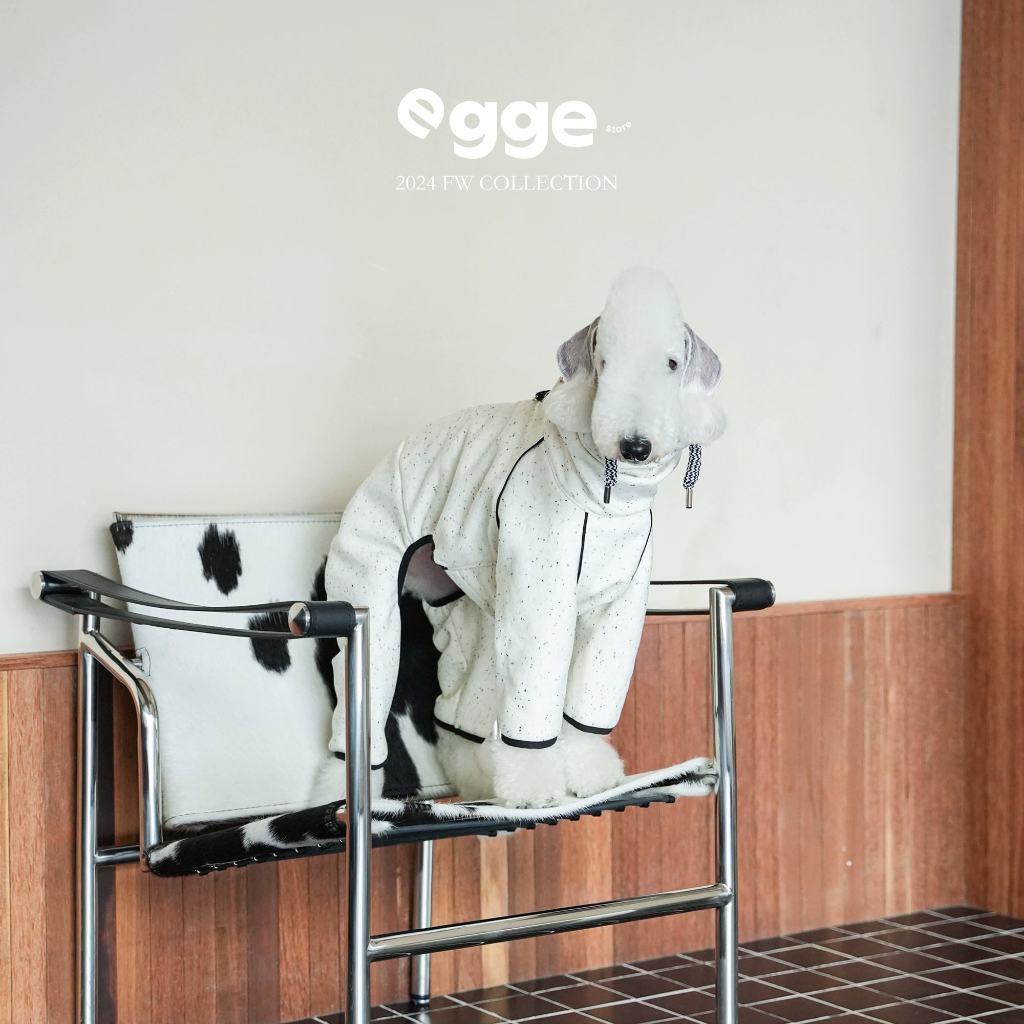 egge® School Uniform Hoodie - White & Blue for Dogs