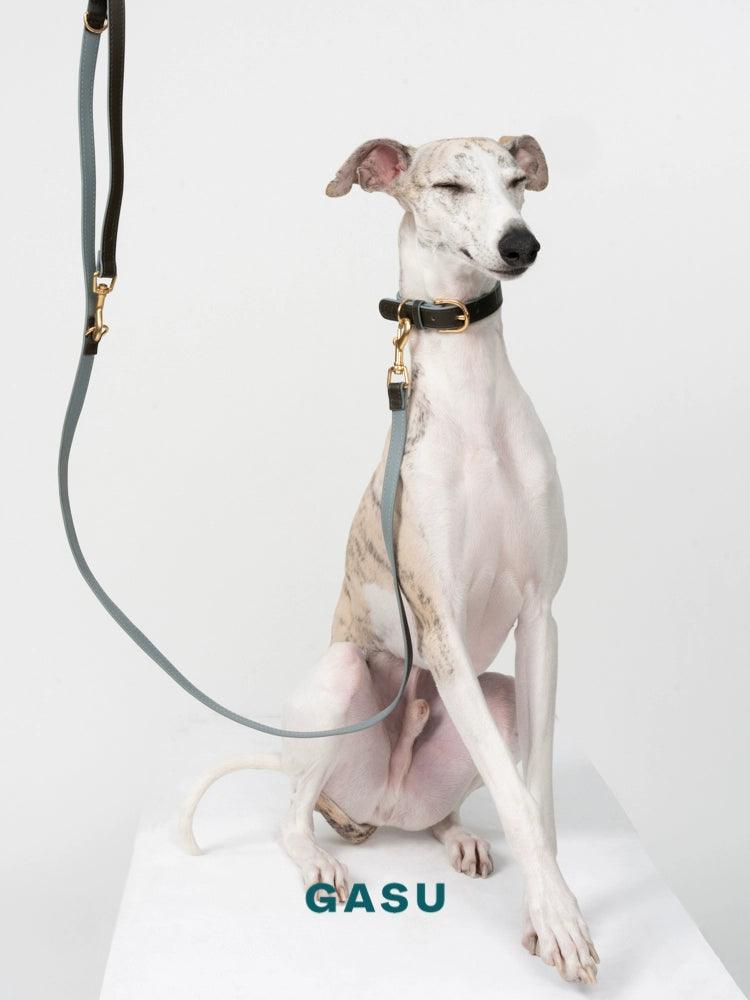 GASU® Soft Italian Leather Pet Collar - KIKOPALS