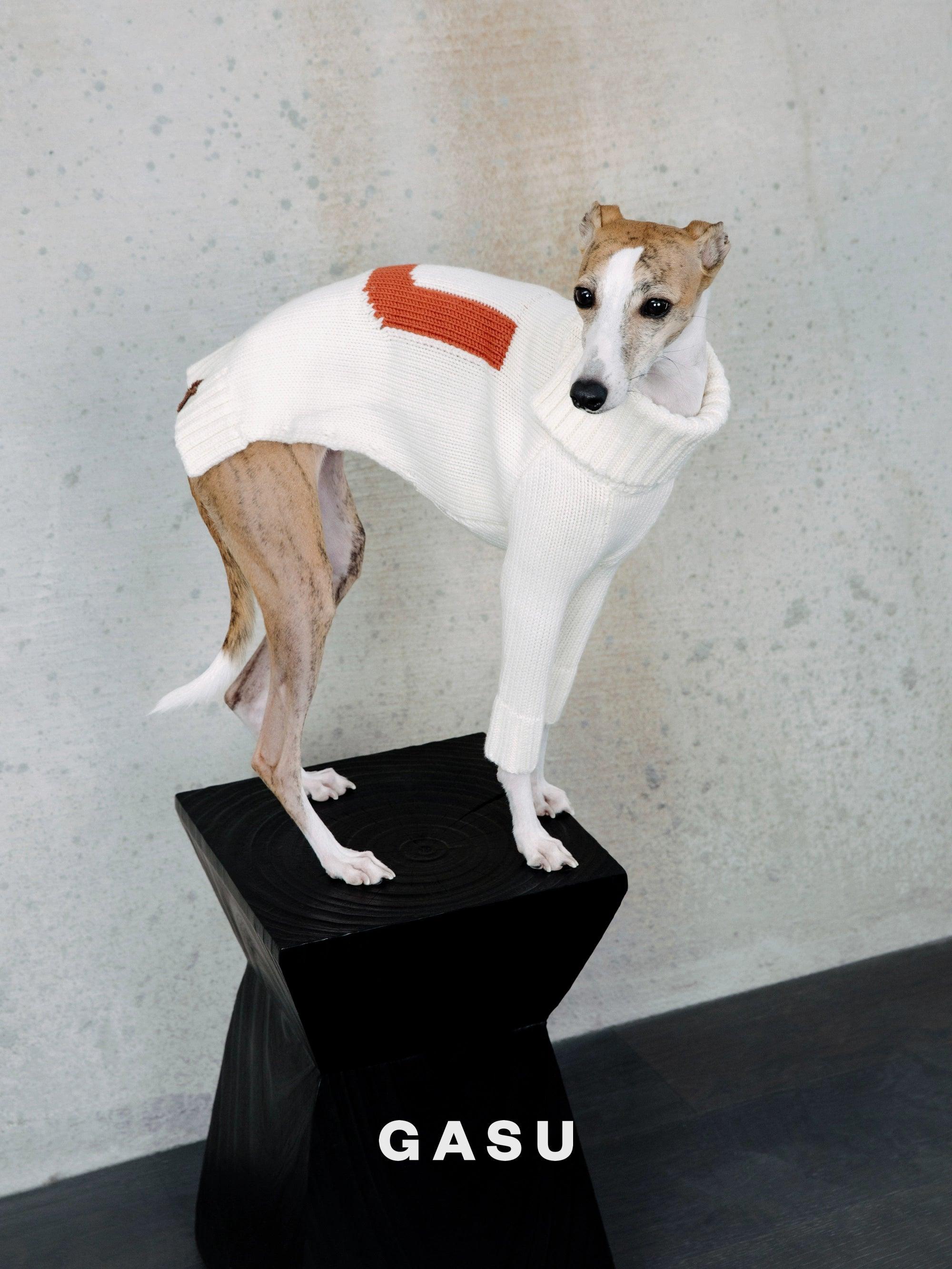 GASU® Chunky Wool Dog Two-Legged Sweater - KIKOPALS