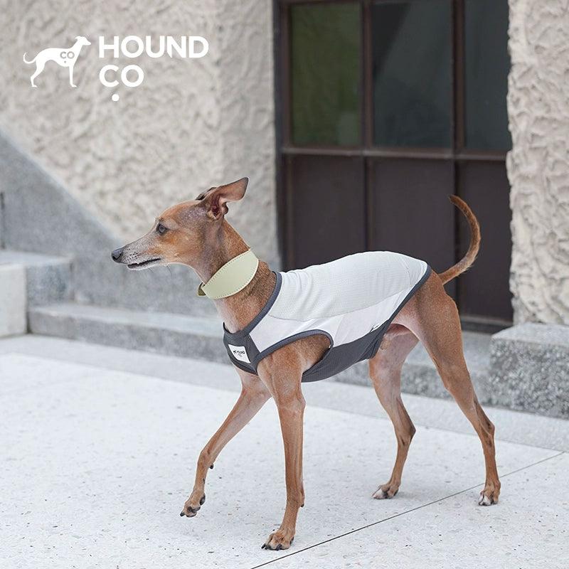 Hound Co.® Breathable Mesh Cooling Vest for Pets - KIKOPALS