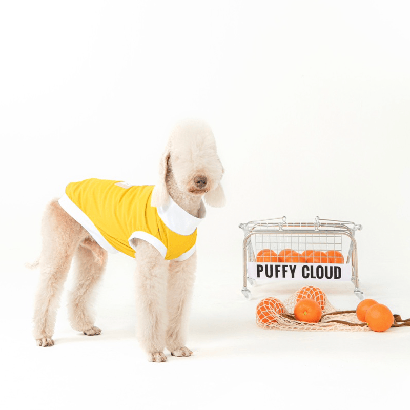 PUFFYCLOUD® Sportswear Casual Suit - KIKOPALS