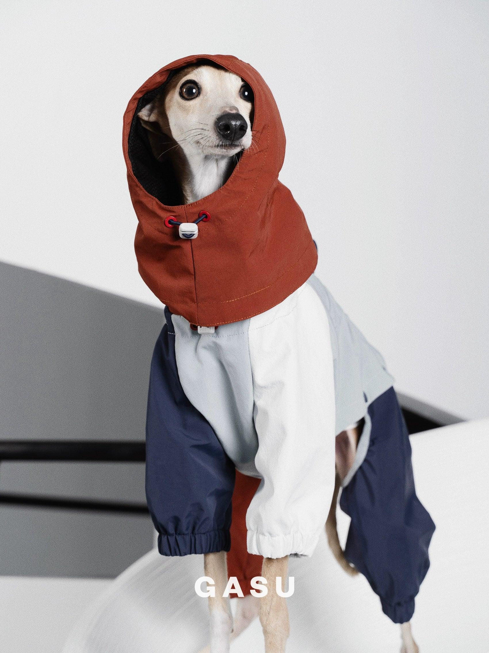 GASU® Waterproof Detachable Dog Rain Hat - KIKOPALS