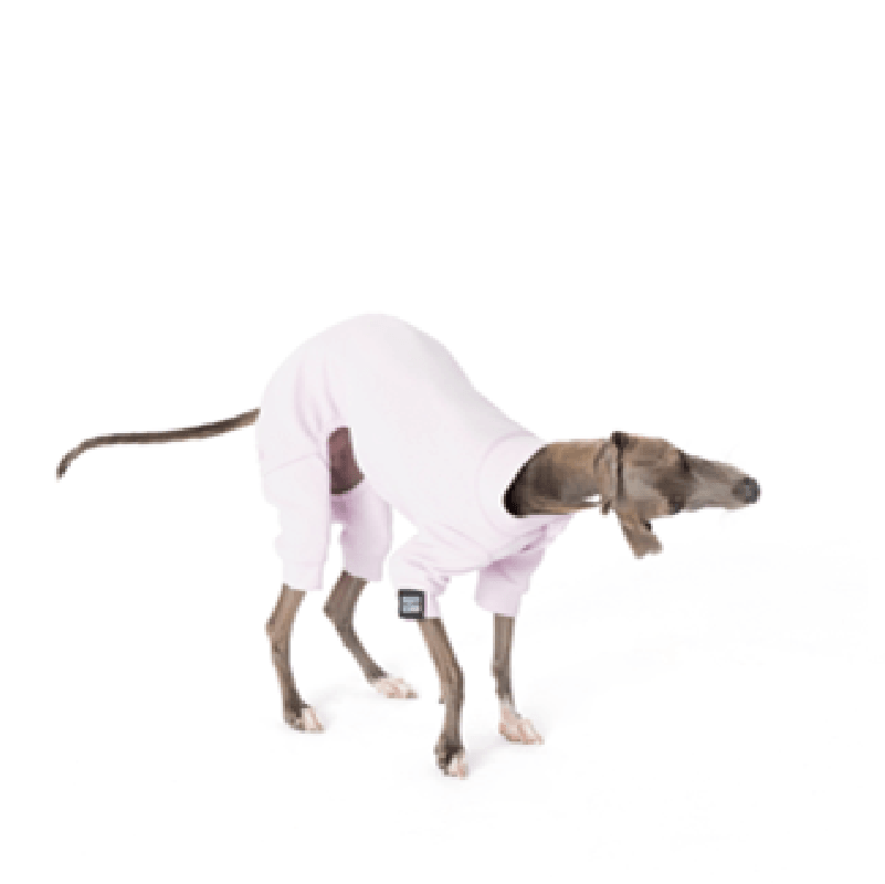 PUFFYCLOUD® Pet Jumpsuit - KIKOPALS