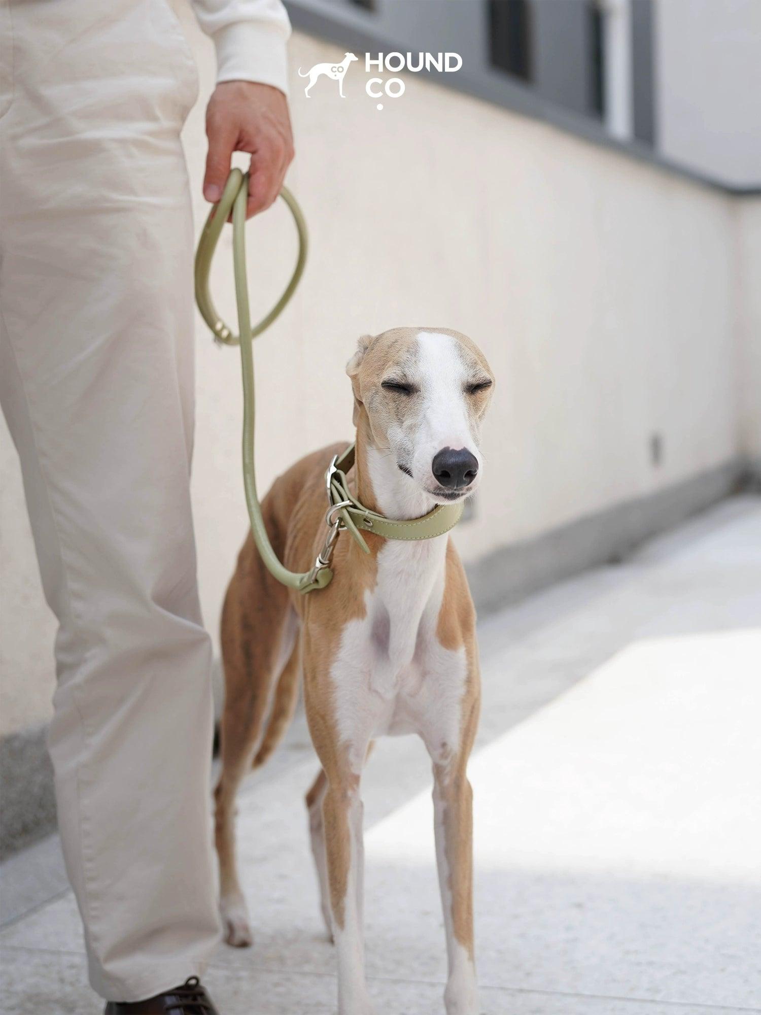 Hound Co.® Vegan Series Pet Collar & Leash Set - KIKOPALS