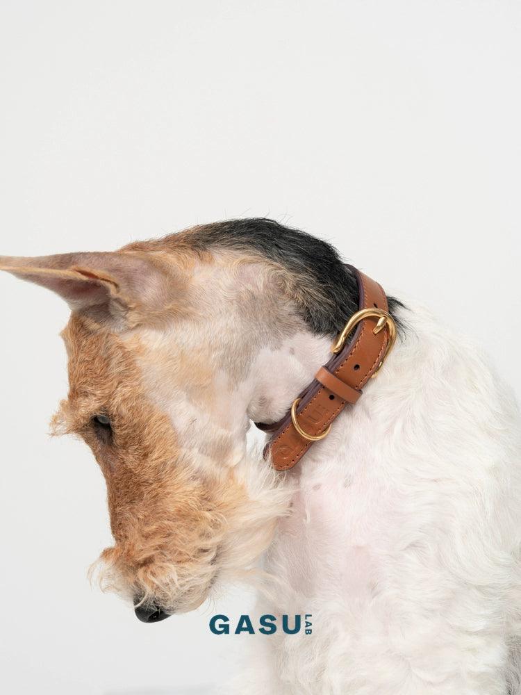 GASU® Soft Italian Leather Pet Collar - KIKOPALS