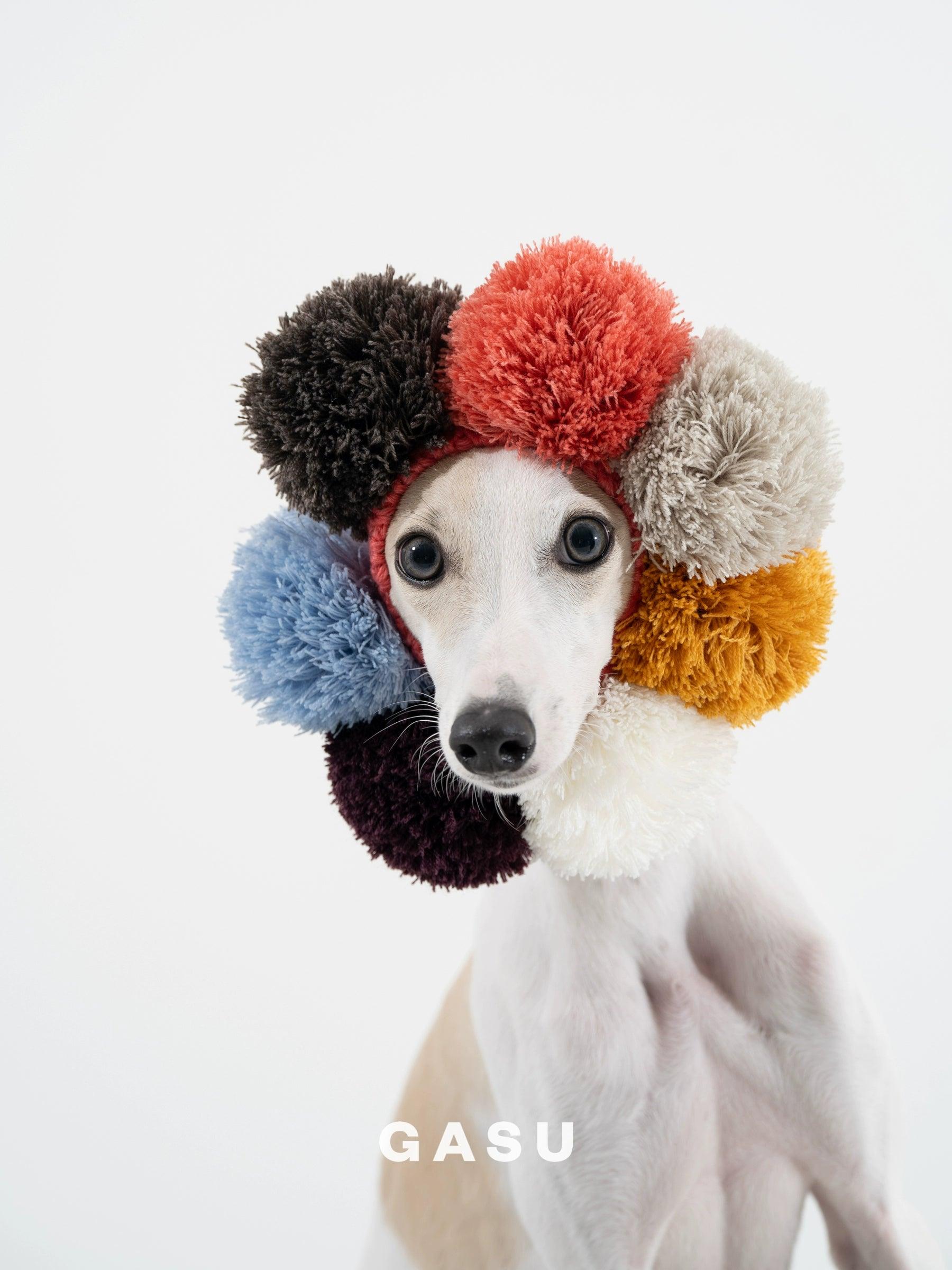 GASU® Cashmere Merino Wool Pet Beanie - KIKOPALS
