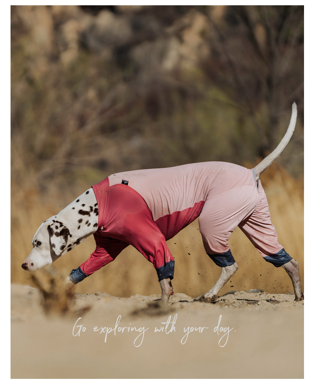 BlackDoggy® Ultra-Thin Cool Sensation Full-Coverage Sun Protection Suit for Dogs