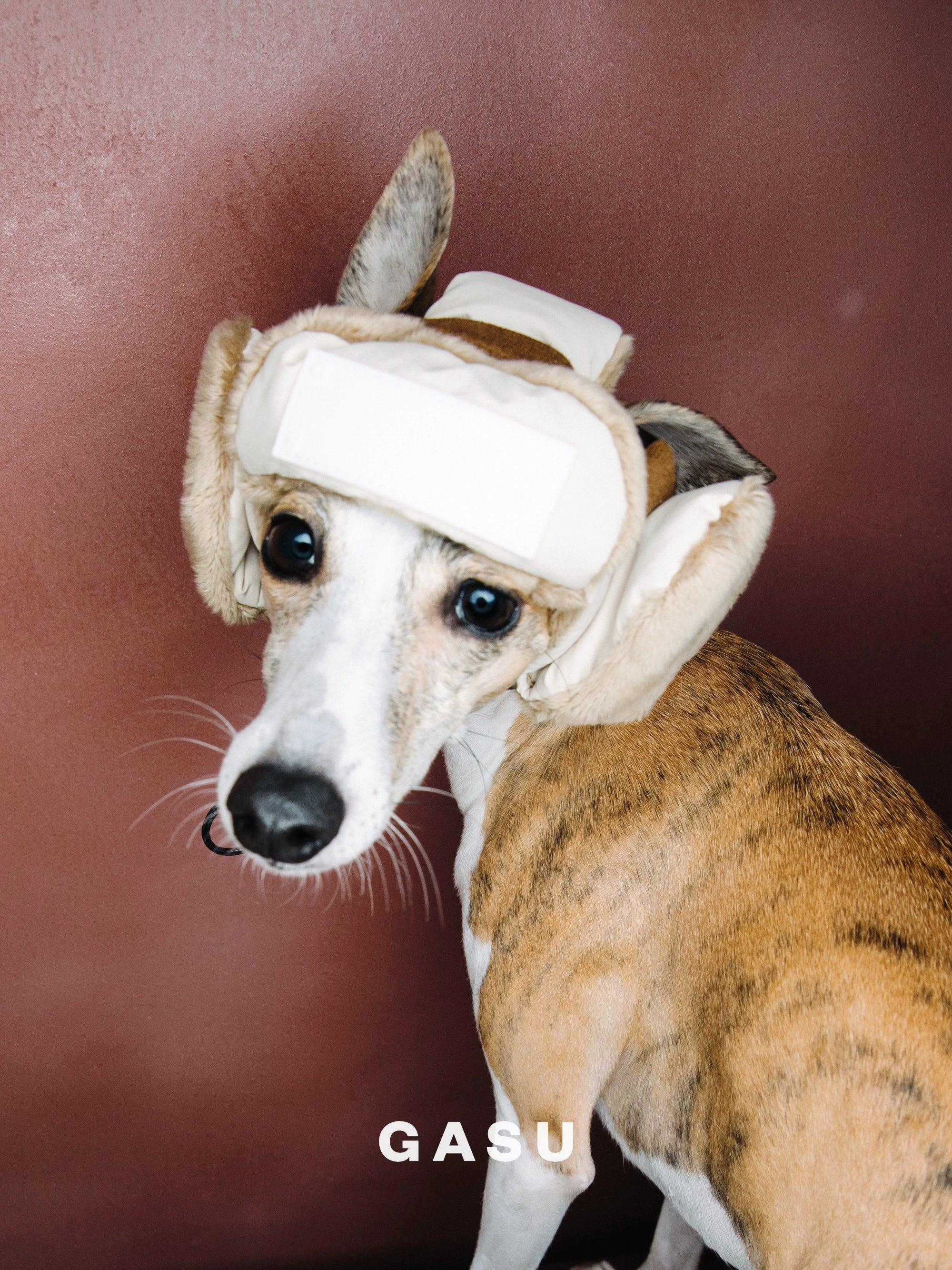 GASU® Versatile Puffer Pet Pilot Hat - KIKOPALS