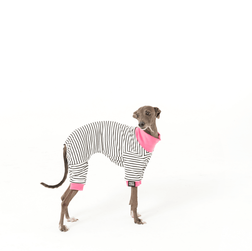 PUFFYCLOUD® Striped Dog Four-Legged Base Layer Sweater - KIKOPALS