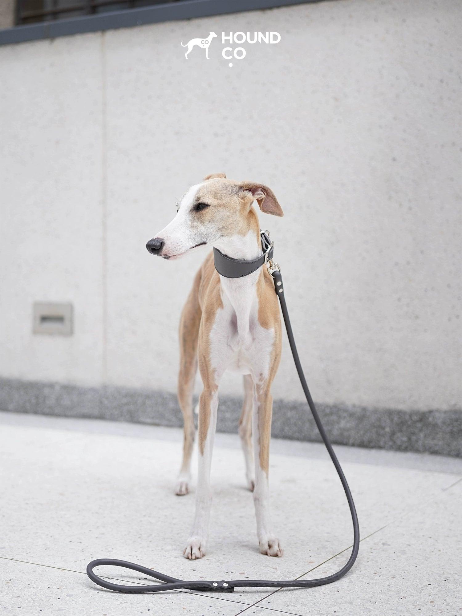 Hound Co.® Vegan Series Pet Collar & Leash Set - KIKOPALS