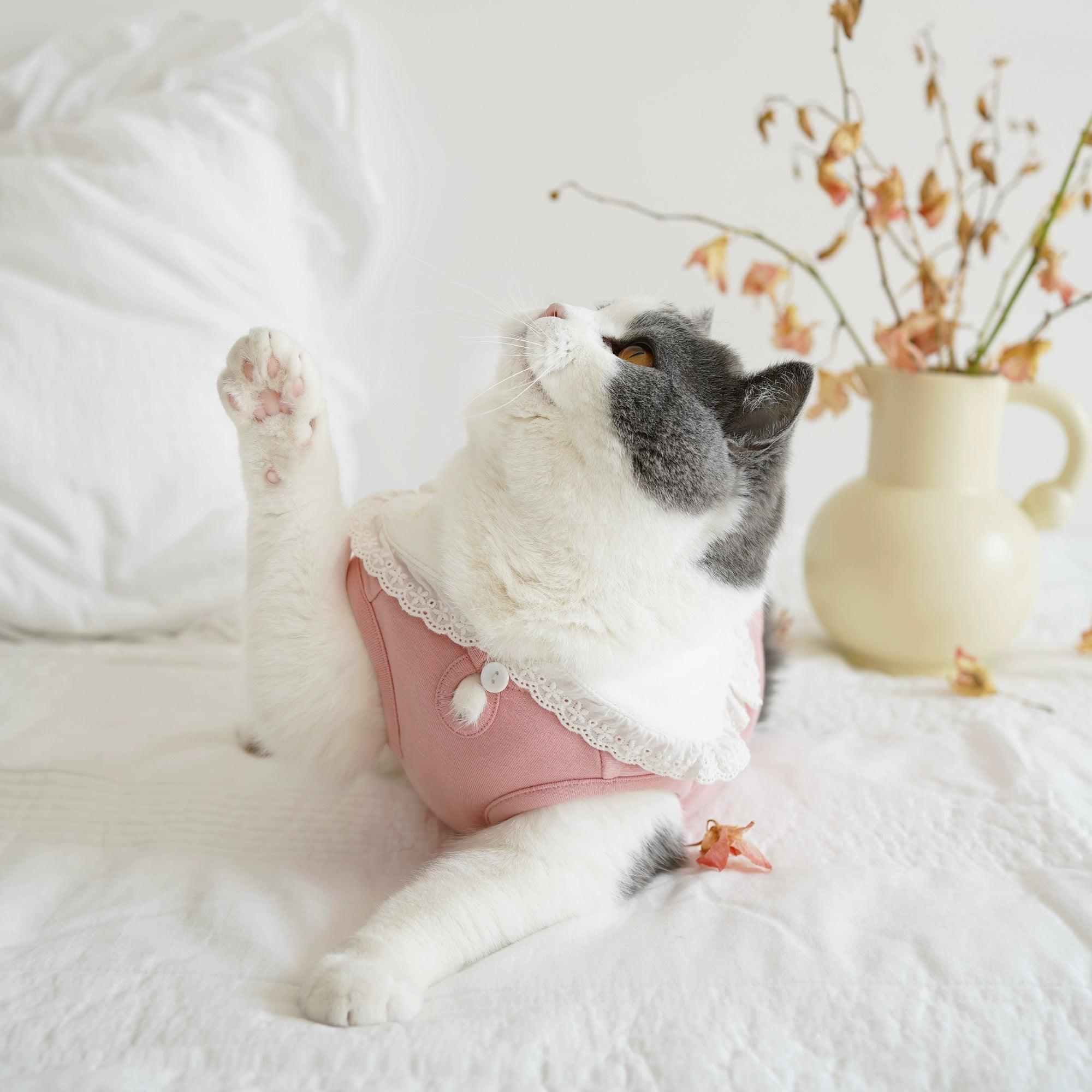 BOWWW® Pet Floral Collar Vest - KIKOPALS