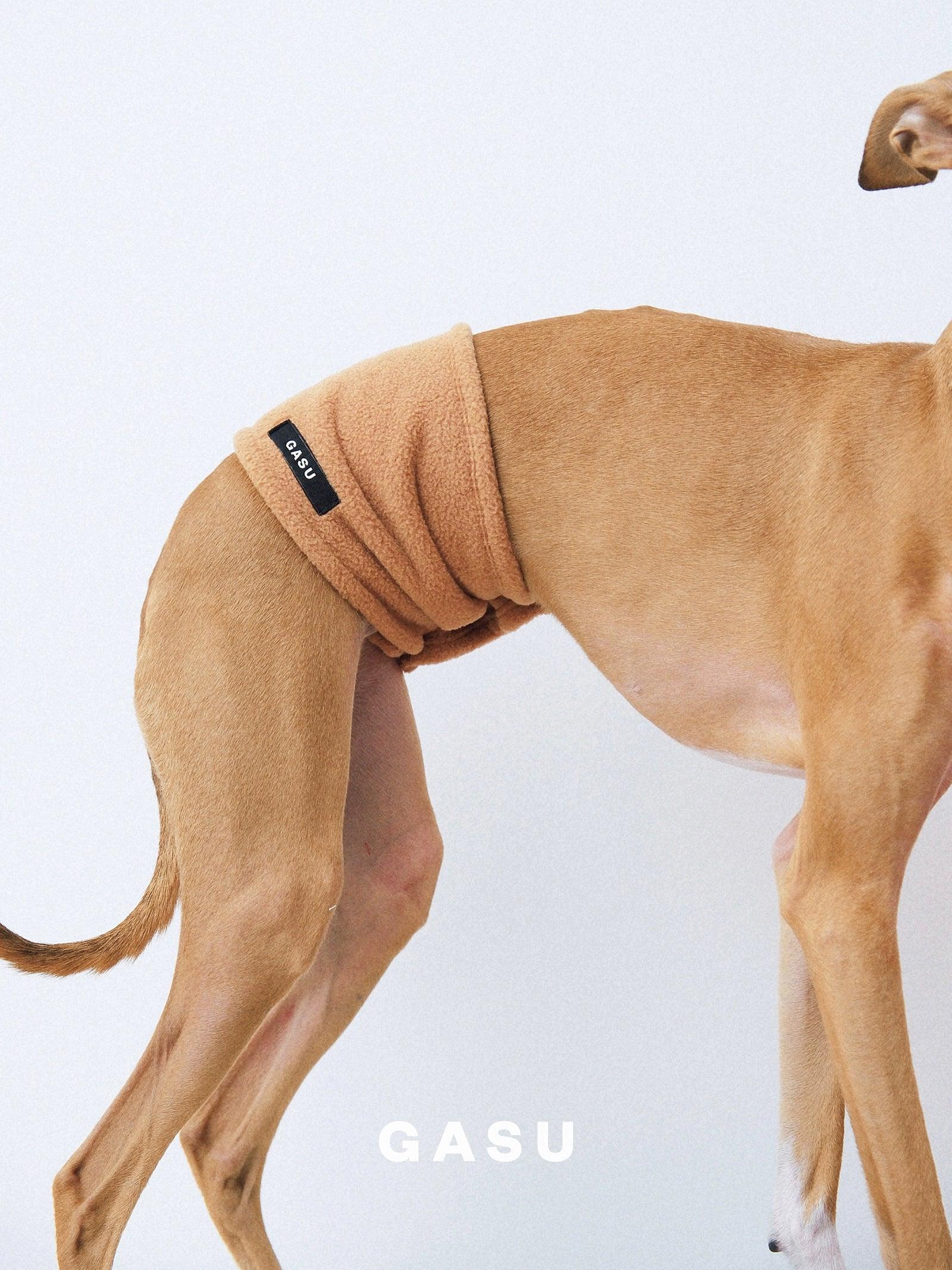 GASU® Warm Anti-Static Dog Belly Wrap - KIKOPALS